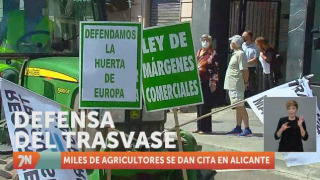 Miércoles, 18 de mayo II