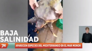 Miércoles, 25 de mayo I