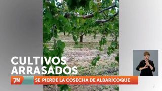 Miércoles, 4 de mayo I