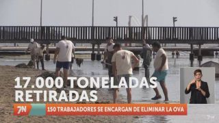 Viernes, 26 de agosto II