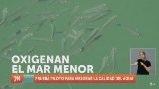 Viernes, 27 de mayo I