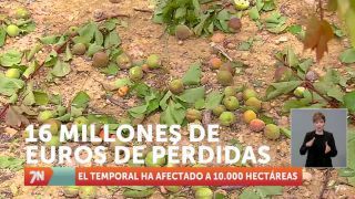 Viernes, 6 de mayo I