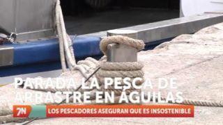 Domingo, 20 de febrero