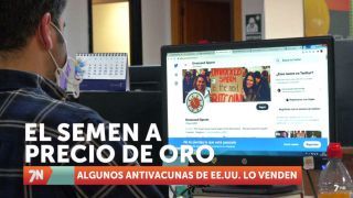 Sábado, 15 de enero