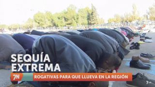 Domingo, 26 de noviembre
