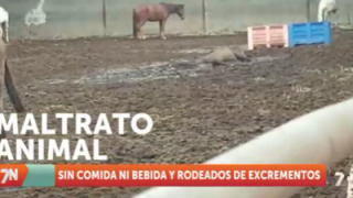 Martes, 23 de noviembre
