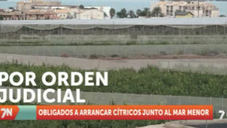 Miércoles, 24 de noviembre
