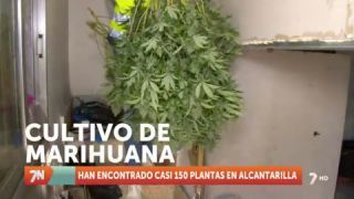 Viernes, 21 de enero