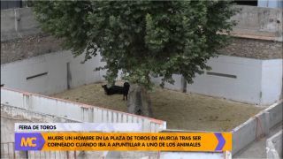 Martes, 13 de septiembre