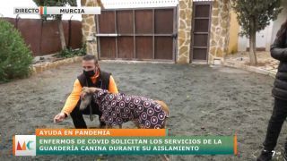 Martes, 25 de enero