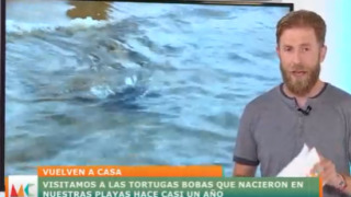 Martes, 3 de agosto