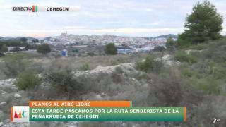 Viernes, 14 de enero