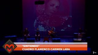 16/06/2019 Cuadro flamenco Carmen Lara.
