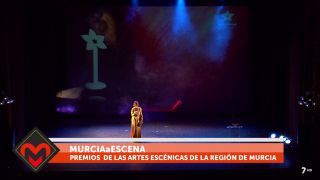 17/11/2017 Premios de las Artes Escénicas de la Región de Murcia