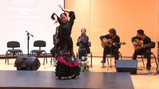 Día Internacional del Flamenco