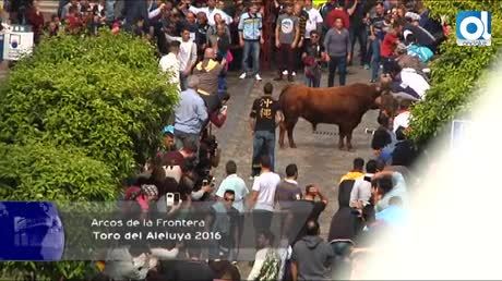 Temporada 2 Número 839 / 28/03/2016 Crónica Toro Aleluya