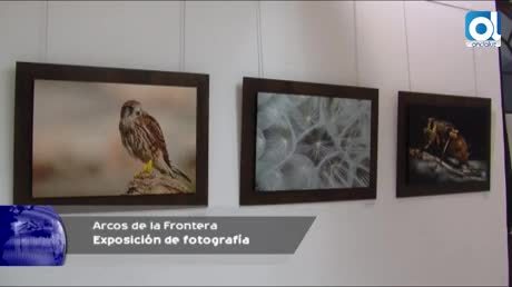 Temporada 3 Número 158 / 11/10/2016 Exposición de fotos