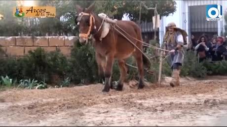 Temporada 3 Número 438 / 19/12/2016 Crónica Belén Viviente Arcos