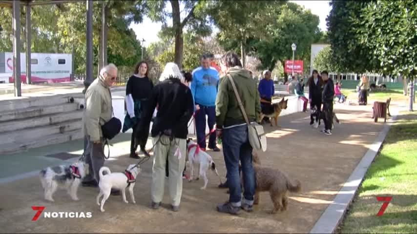 Temporada 5 Número 1178 / 08/07/2019 Normas tenencia animales domésticos