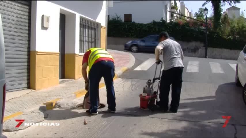Temporada 5 Número 1185 / 09/07/2019 Campaña desratización