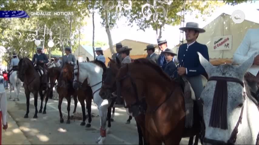 Temporada 5 Número 136 / 04/10/2018 Ciudadanos critica el paseo caballos