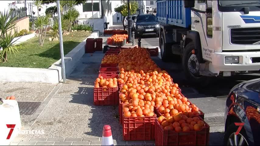 Temporada 5 Número 653 / 12/02/2019 Retirada de naranjas