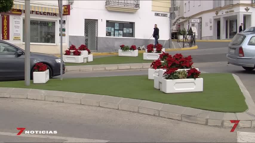 Temporada 6 Número 365 / 17/12/2019 Robo de flores