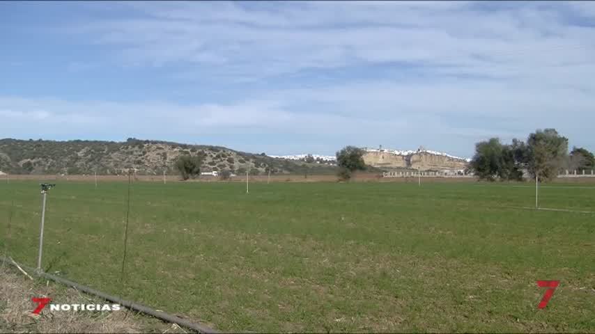 Temporada 6 Número 456 / 21/01/2020 Desmantelada plantación marihuana