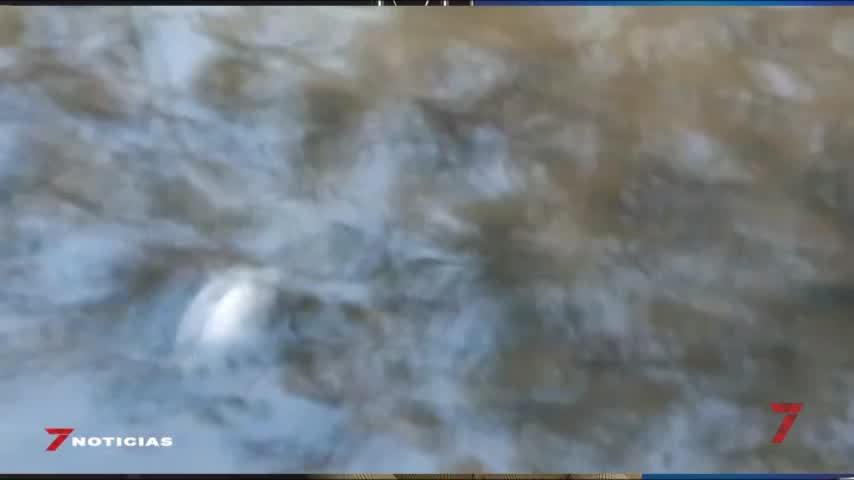 Temporada 6 Número 457 / 21/01/2020 Mortandad de peces pantano Bornos