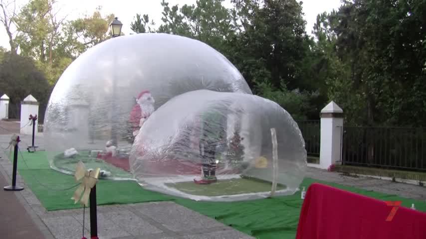 Temporada 8 Número 442 / 21/12/2021 Actividades infantiles