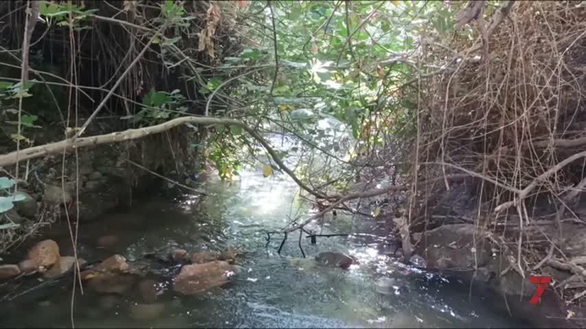 Temporada 8 Número 619 / 07/02/2021 Ecologistas sobre río Majaceite