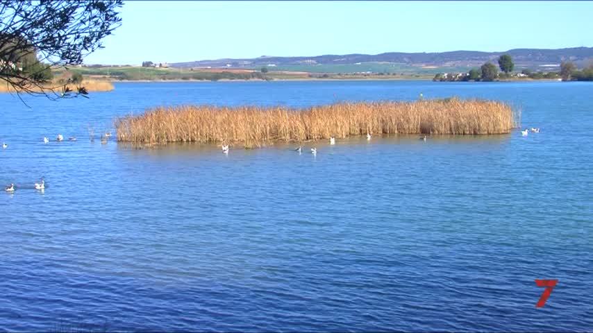 Temporada 8 Número 651 / 15/02/2022 Caso gripe aviar en Arcos