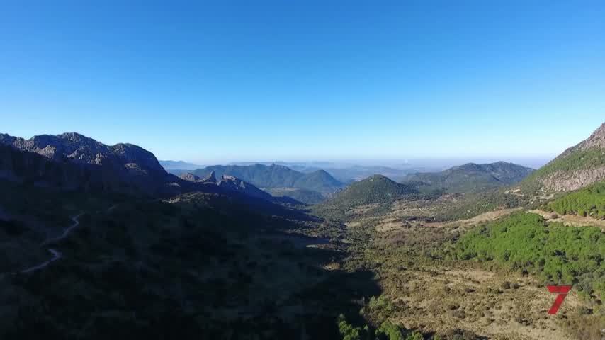 Temporada 8 Número 680 / 22/02/2022 Convenio preservar el pinsapo