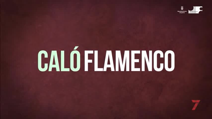 Temporada 6 Número 3 / Viernes Flamencos, Manuel de Cantarote; Trasnparencias