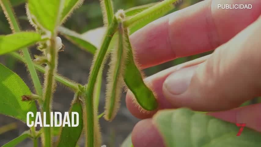 Temporada 10 Número 30 / 24/04/2021 Cuaderno Agrario