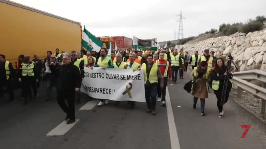 Temporada 1 Número 273 / 30/01/20 Manifestación de olivareros en Jaén por los precios del aceite