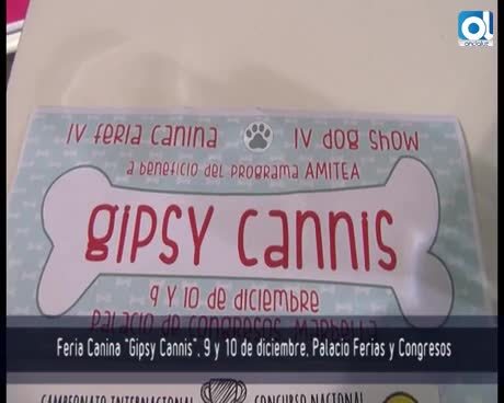 Temporada 4 Número 317 / 04/12/2017 presentacion Gipsy Cannis