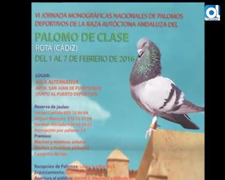 Temporada 2 Número 728 / 26/01/2016 Jornadas Palomos