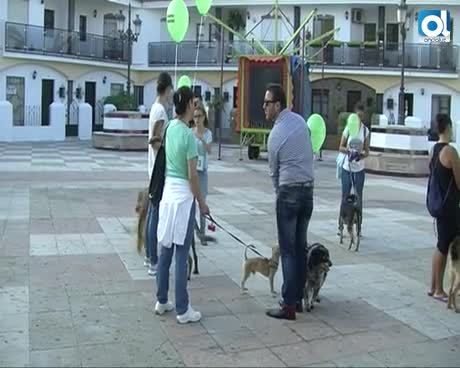 Temporada 2 Número 802 / 10/02/2016 II Marcha Canina Solidaria