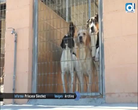 Temporada 1 Número 223 / 19/01/2015 Protectora de animales