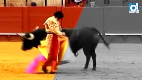 Temporada 3 Número 12 / 21/12/2016 Ganadería Virgen María y Santa Ana