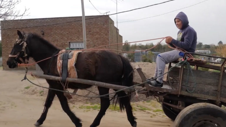 Un niño, un carro y un caballo: esta es la historia de José Pedro