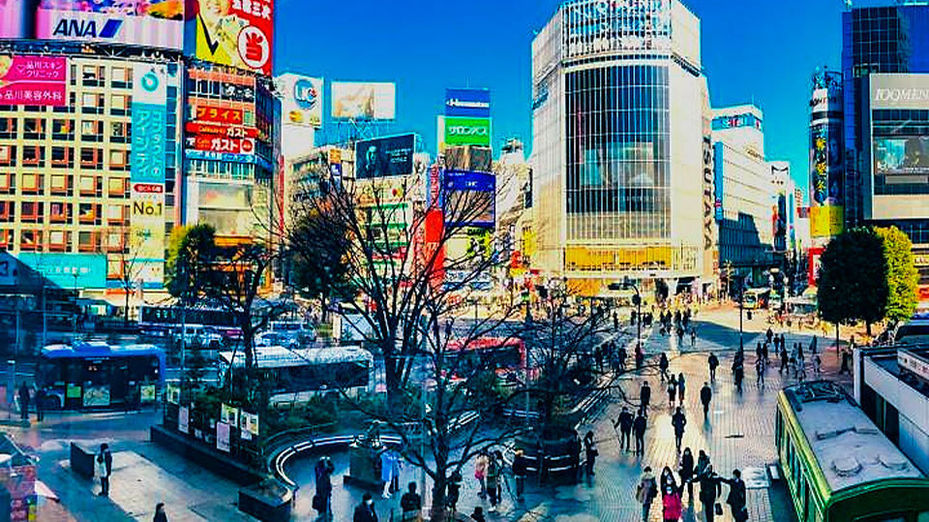 Japón, vida frenética entre rascacielos, calma en los templos