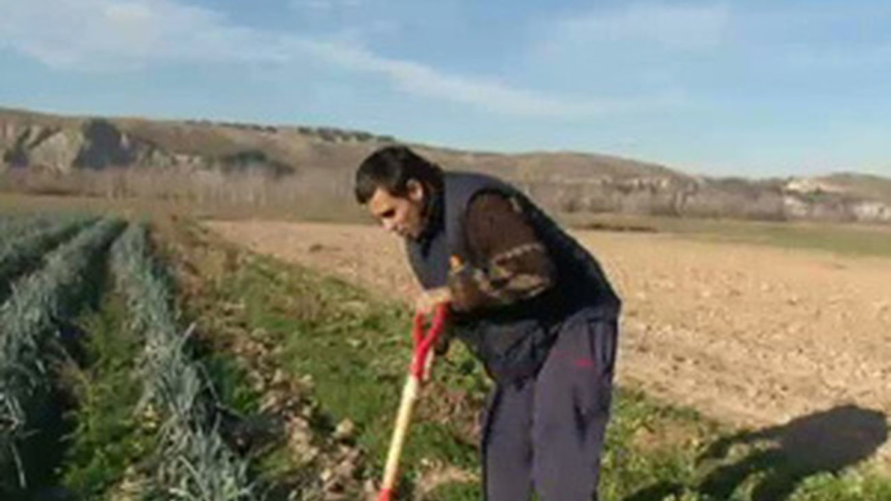 A la huerta de la esquina