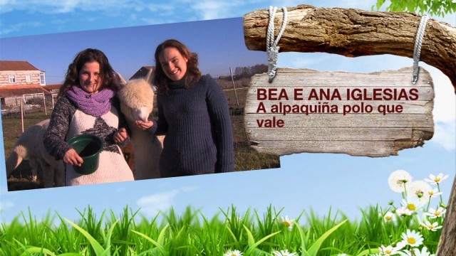 Marta e a vida en San Martiño de Ozón / Julio e os cogomelos / Bea e Ana coas alpacas - 09/03/2015 23:30