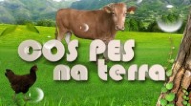 Programa 7 (09/11/2011) - 09/11/2011 23:00