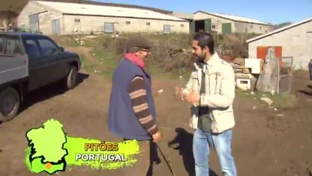 Cap. 120: O pastoreo de vacas galegas e portuguesas - 26/11/2011 22:00
