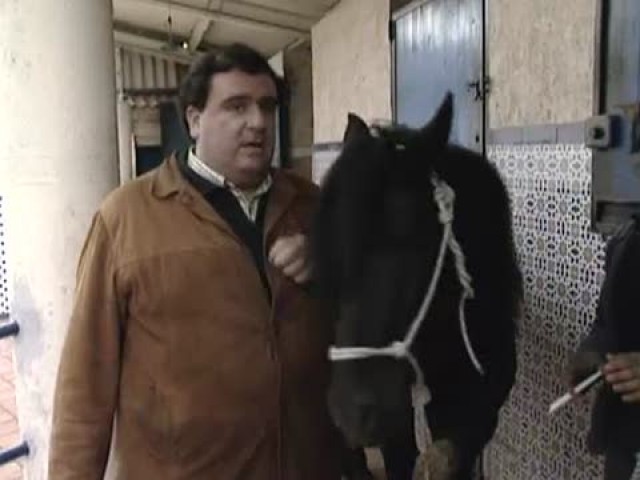 Cap. 21: Cabalo de pura raza galega - 09/10/2007 21:52
