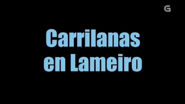 Carrilanas en Lameiro/ O robot/ Kevin delincuente xuvenil - 28/04/2012 22:00