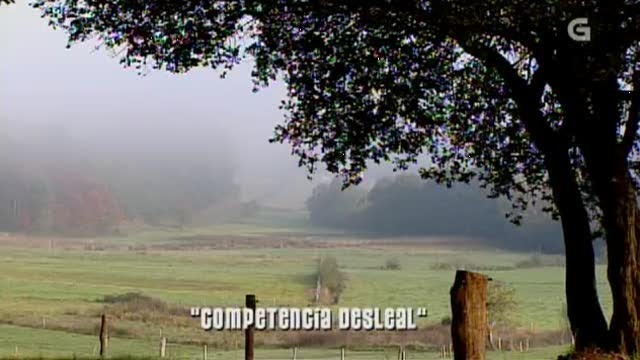 Capítulo 301: Competencia desleal - 06/01/2013 22:30